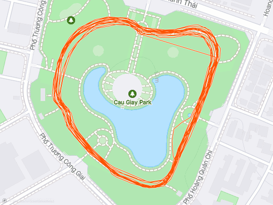 Evening Run