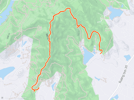 Morning Trail Run