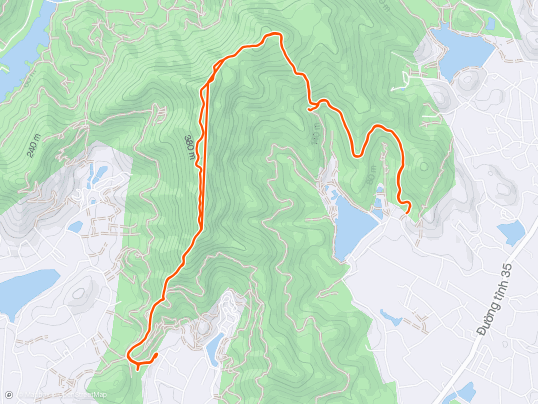 Morning Trail Run