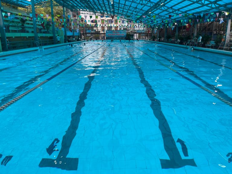 Morning Swim