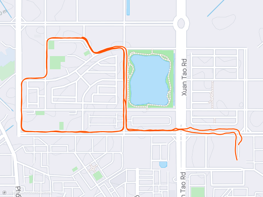 Evening Run