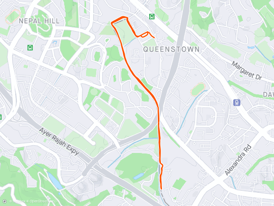 Day 37 - EZ Aerobic / Recovery Run
