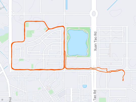 Evening Run