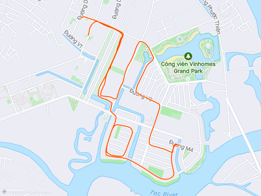 Evening Run