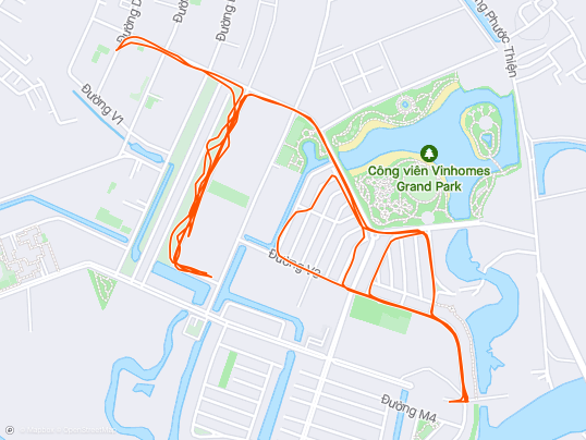 Evening Run