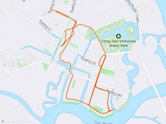 Morning Run