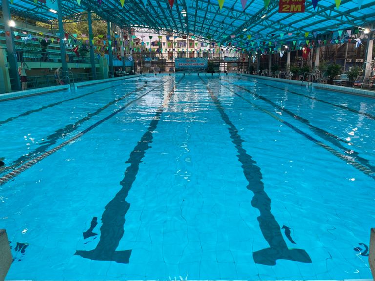 Morning Swim