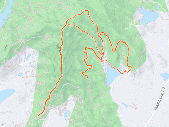 Morning Trail Run