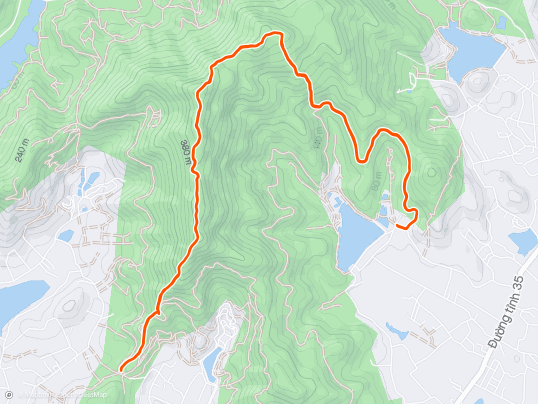 Morning Trail Run