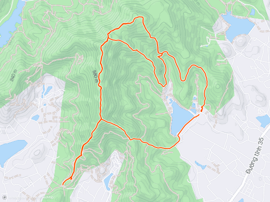 Morning Trail Run