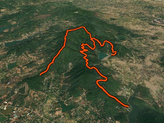 Morning Trail Run