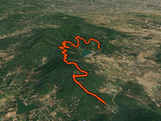 Afternoon Trail Run