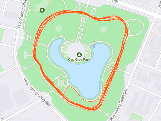 Evening Run